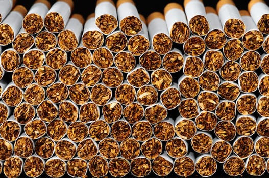 Close-up of Tobacco Cigarettes Background or texture