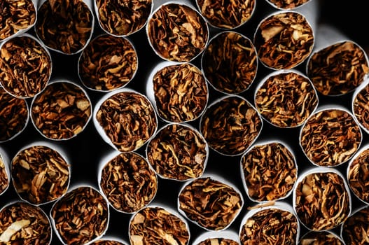 Close-up of Tobacco Cigarettes Background or texture
