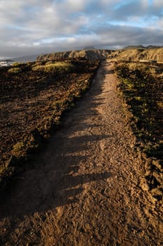 Dirt Road through the Desert in Tenerife Island Spain