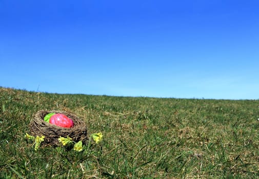 The Easter Nest in the Meadow