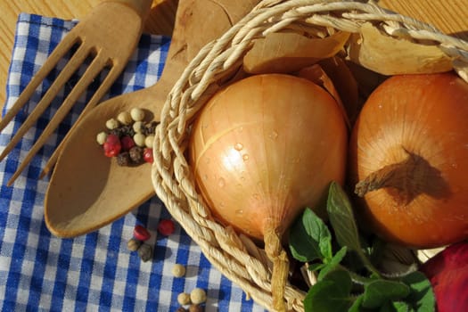 Kitchen onion - Allium cepa
