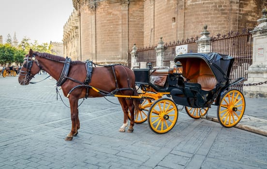 In front of the Cathedral. Black horse and traditional tourist carriage in Sevilla