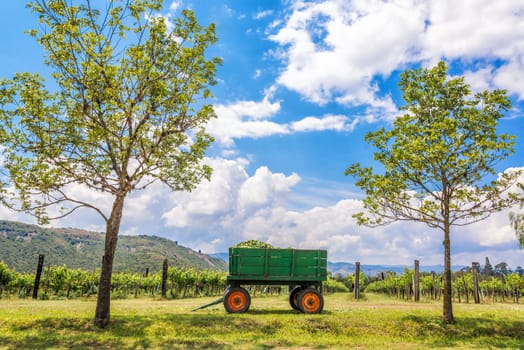 Green wagon framed by two trees on a vineyard near Villa de Leyva in Boyaca, Colombia