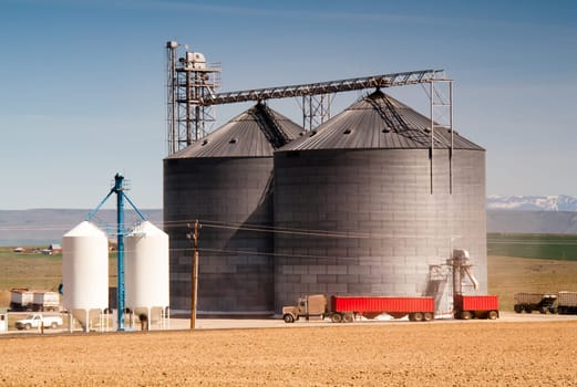 Local agriculture industry loads trucks for shipping