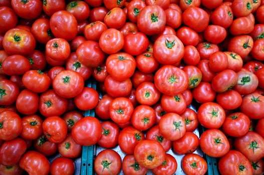 Red Tomato on market