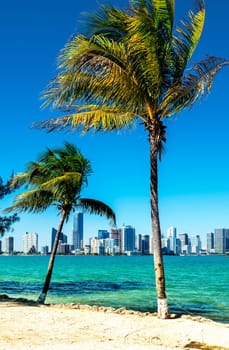 Miami Downtown skyline in daytime with Biscayne Bay.