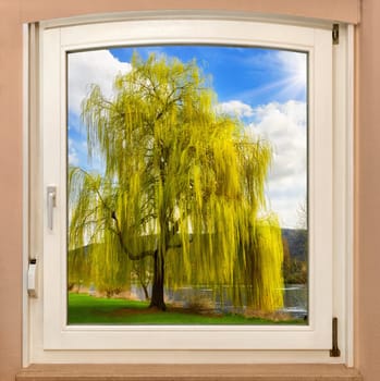 The view through a window of the beautiful nature on a sunny spring day