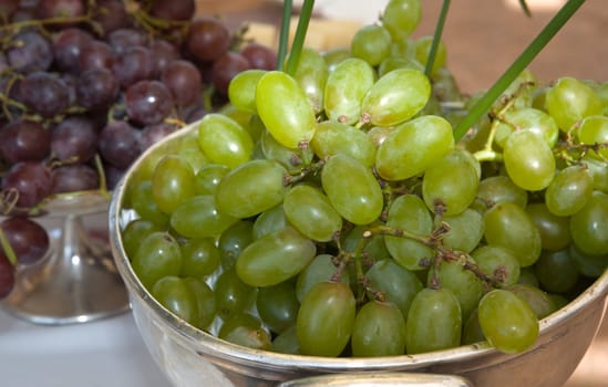 Two kind of grapes, white and red, over a silver bowl, Cordoba, Spain