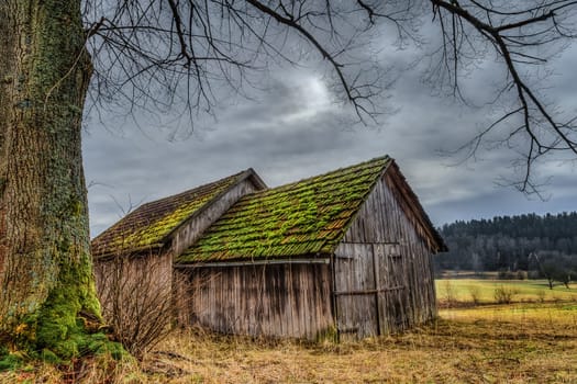 old wooden shed