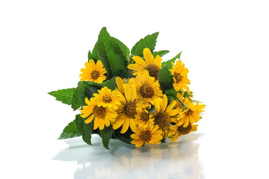 Bouquet of yellow summer beautiful daisies isolated on a white background.