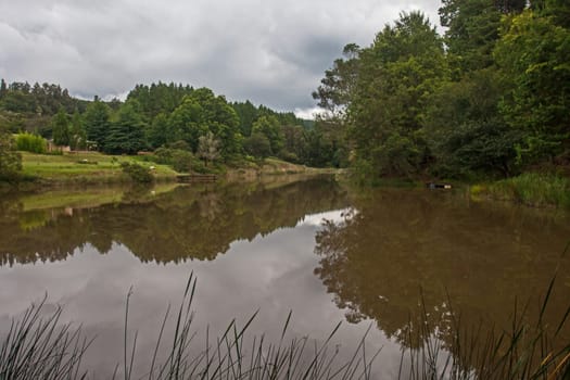 Trees and clouds reflecting on a peaceful trout dam near Haenertsburg, Limpopo Province, South Africa