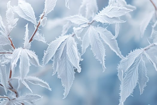 An exquisite display of artistry, capturing the intricate and mesmerizing patterns formed by frost on windows, leaves, and various surfaces through the lens of macro photography, resulting in striking and abstract visual compositions.