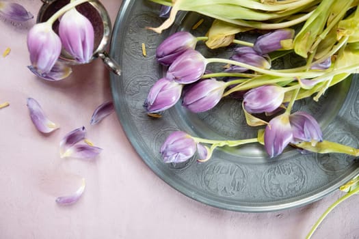 Lilac wilted tulips on a gray pewter dish, top view, spring still life on the table, symbol of izmethemia in nature, High quality photo, High quality photo