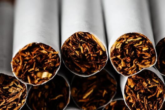 Close-up of Tobacco Cigarettes Background or texture