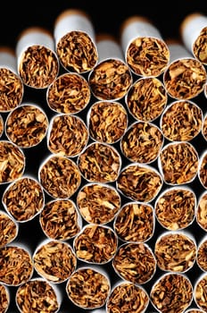 Close-up of Tobacco Cigarettes Background or texture