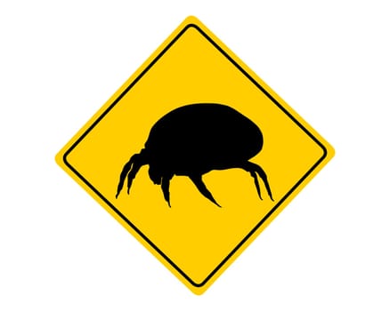 Attention house dust mite