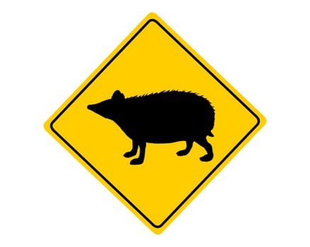 Attention Hedgehog