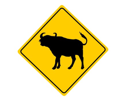 Attention Buffalo