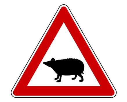 Attention Hedgehog