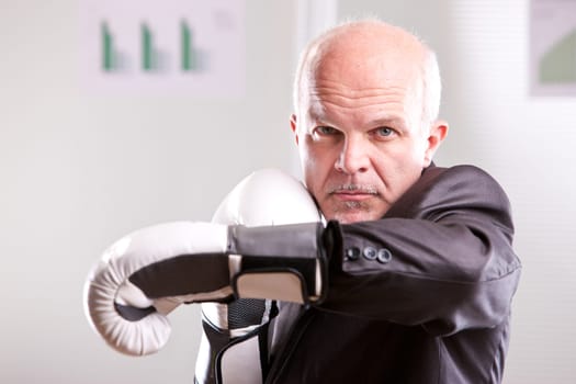 fighting business man upright and ready with white gloves