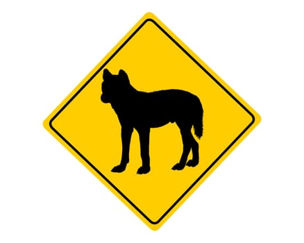 Attention Dingo