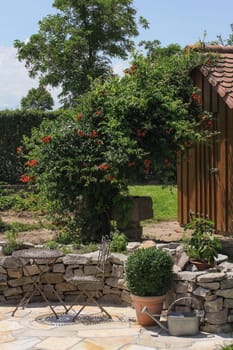 Seat in the garden with herb bed