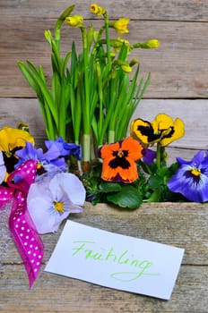 Spring Flowers Wood Background