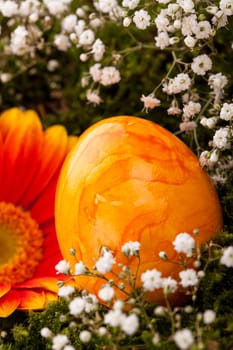 traditional painted colorful easter eggs with orange gerbera decoration card happy easter insulated text space