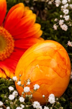 traditional painted colorful easter eggs with orange gerbera decoration card happy easter insulated text space