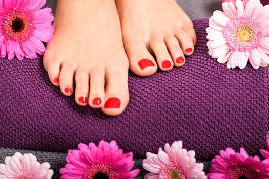 beautiful well-groomed female feet with red nail polish and flowers on towel close up wellness pedicure salon