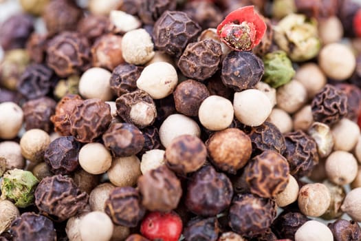 colorful dried peppercorns spice pepper close-up grains
