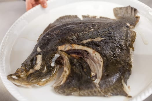 fresh rockbutt fish in the restaurant kitchen preparation detail recording