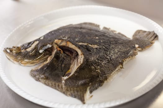 fresh rockbutt fish in the restaurant kitchen preparation detail recording