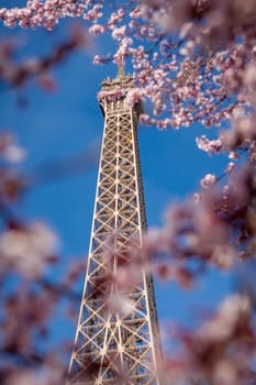 eiffeltower in paris landmark in front of blue sky in spring architecture view