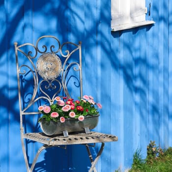 Garden chair with daisy
