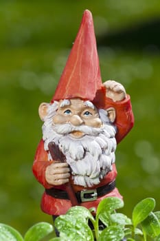 Funny little garden gnome stands in the garden