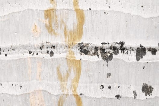 Macro of a Coconut Tree Trunk Texture Background