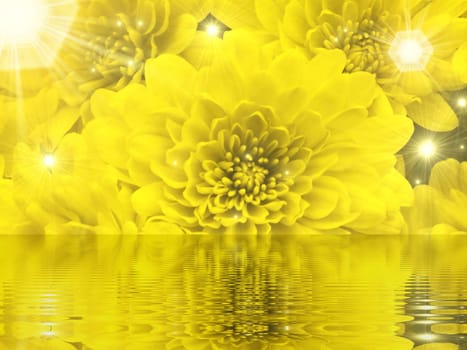 background color, abstract artistic flowery small lights