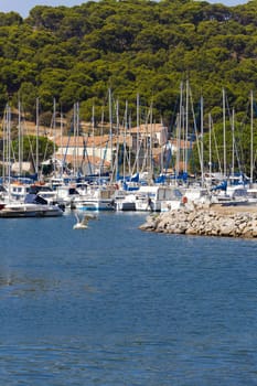 Marina of Gruissan in southern France with many sailboats in a beautiful landscape