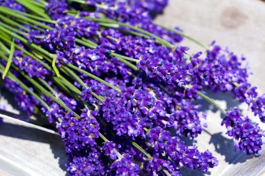 Bunch of lavender on a tray