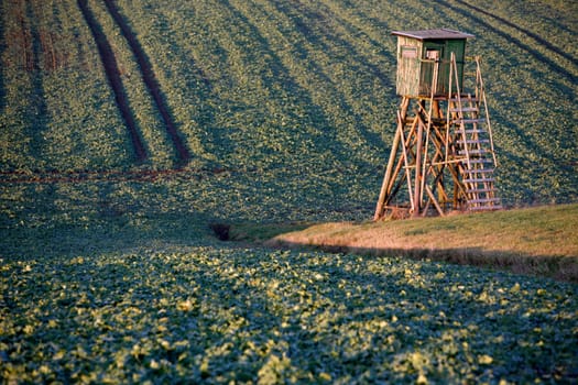 High seat on the Bollesweg in Alverdissen