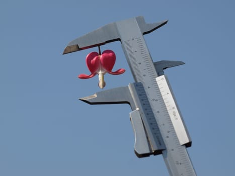 Calipers