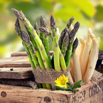 fresh asparagus sticks