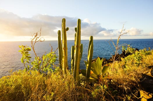 Colred Sunrise Clouds over the Atlantic Ocean in Tenerife Canary Islands