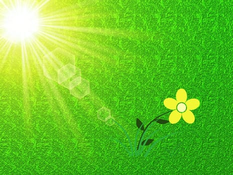 colored background with small pattern and small star