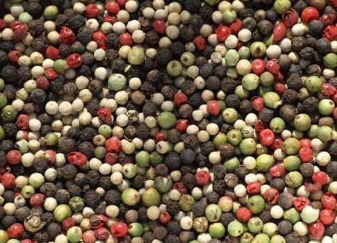 Colorful pepper
