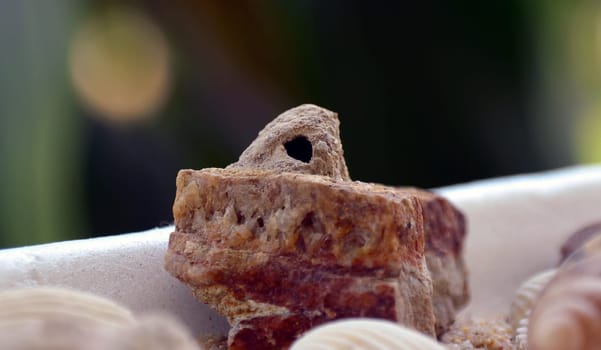 Insect breeding site