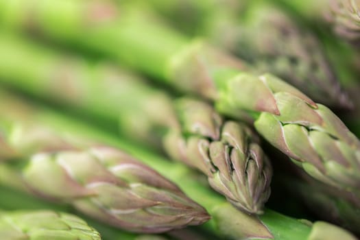 Asparagus background