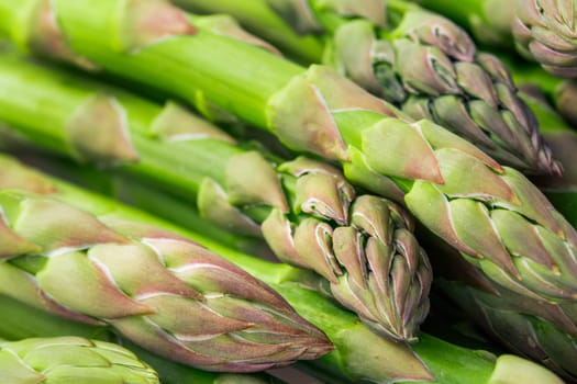 Asparagus background