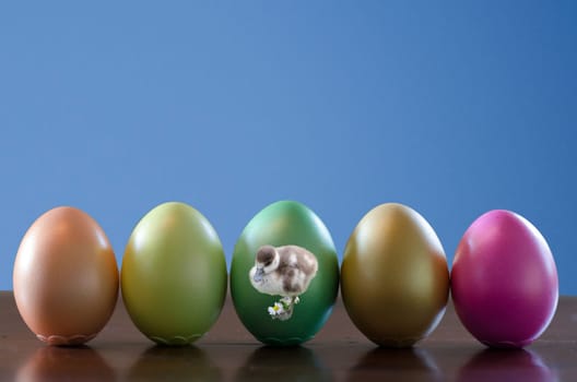 Easter eggs with chicks and daisies